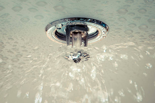 Sprinkler Sistemi edt-yangin-hizmetleri